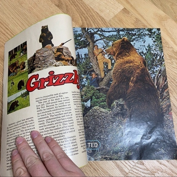 Vintage Wonderful World of Disney Magazine Grizzly Bear Winnie the Pooh - Picture 4 of 4